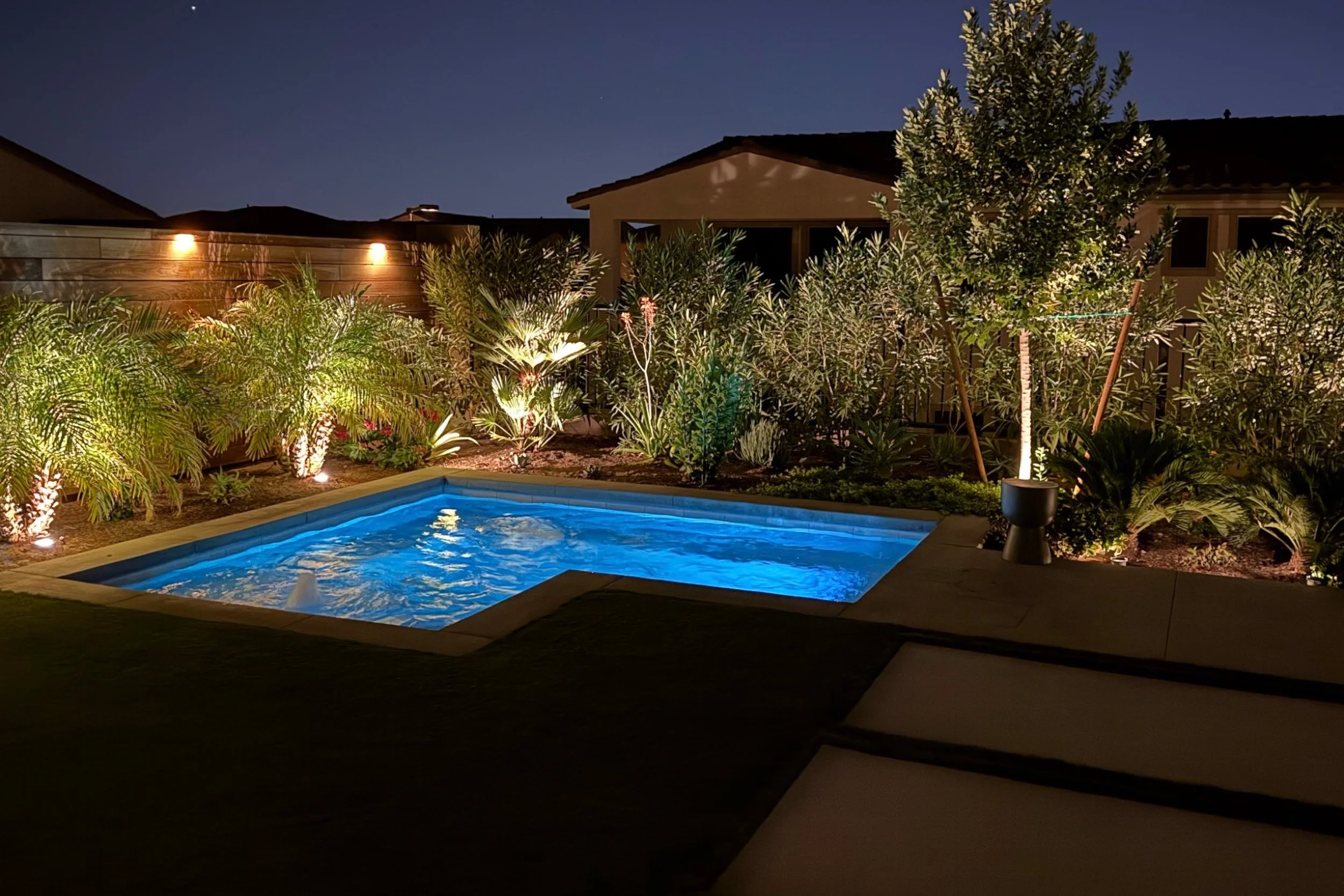 Nighttime backyard scene showing a small illuminated swimming pool surrounded by lush tropical plants and outdoor lighting, with a house in the background.