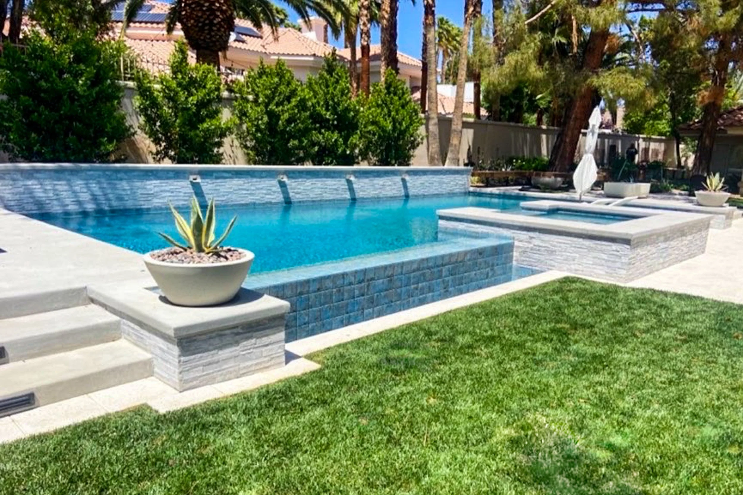 A backyard with a modern rectangular swimming pool surrounded by greenery, including potted succulents, a grassy lawn, and tall trees. There are steps leading into the pool, and a backyard umbrella with a lounge chair nearby, set on a patterned area 