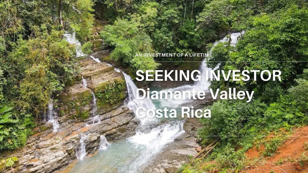 Water, food and freedom on independent land has become one the most valuable asset on earth of this day and age, hands down. 

We&rsquo;re looking for an investor for one of the most pristine and mature piece of land in Diamante Valley, one of my fav