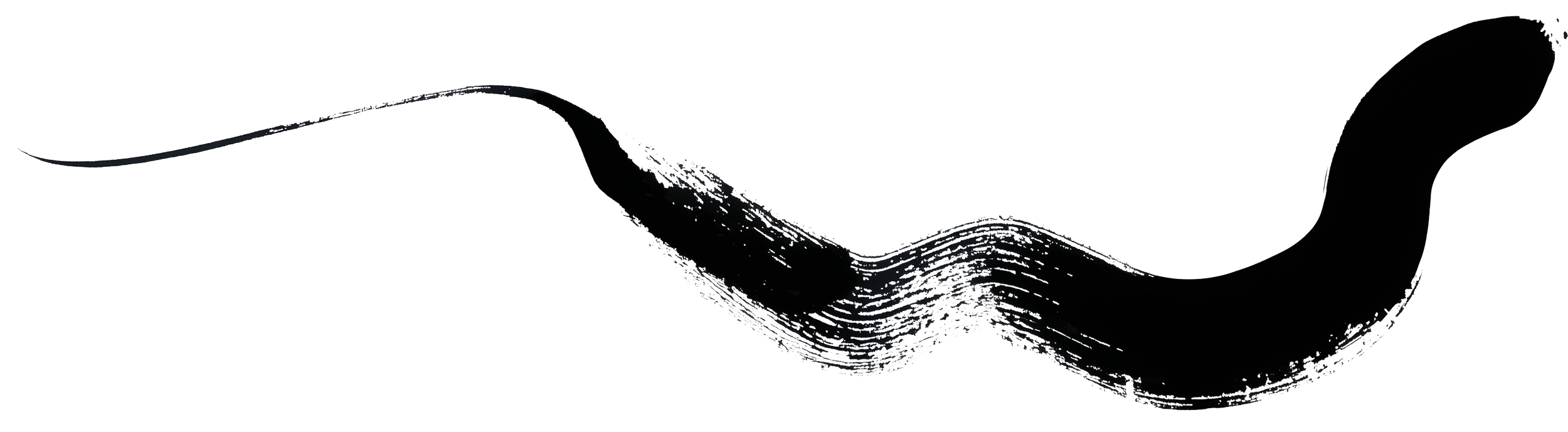 Abstract black and white brushstroke with curved design.