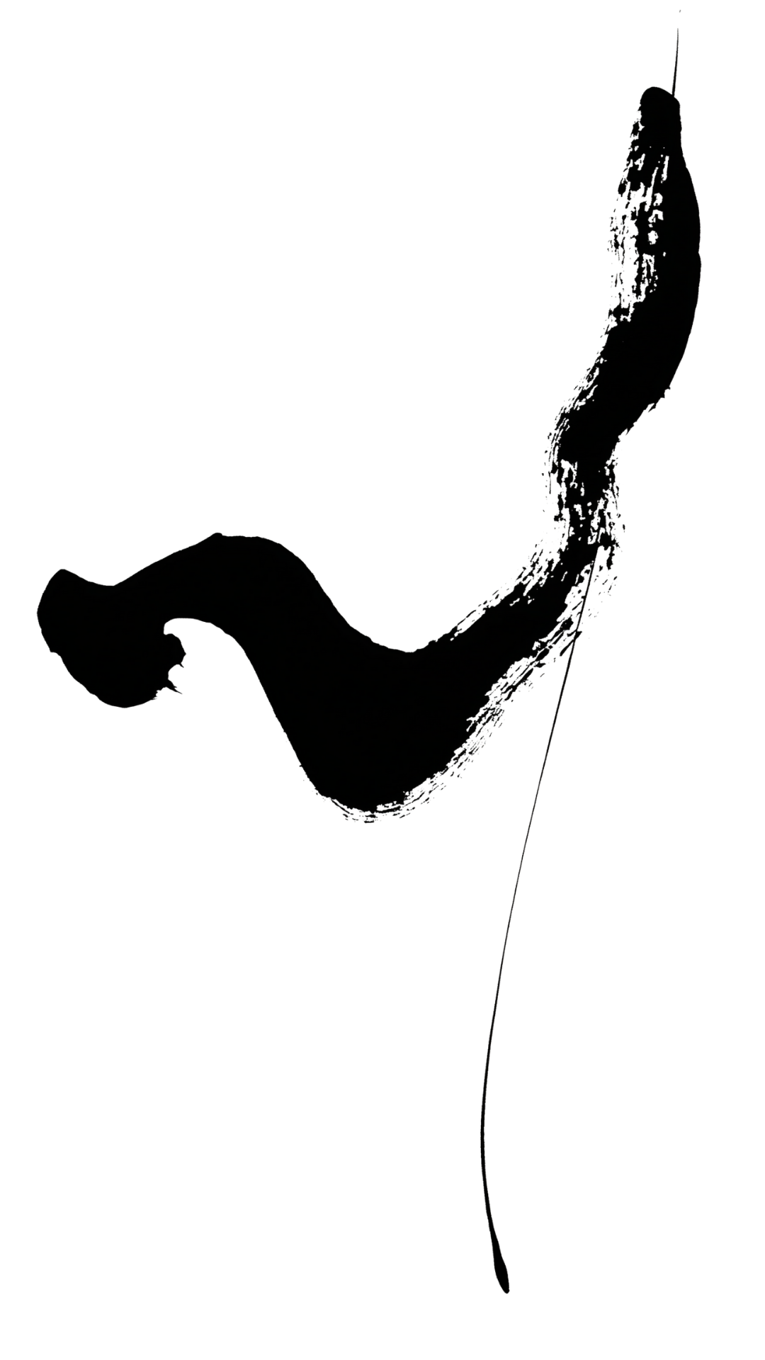 Line drawing of a snail on a black background, showing the snail's shell, body, head, and antennae with a tied string attached to the snail's tail.