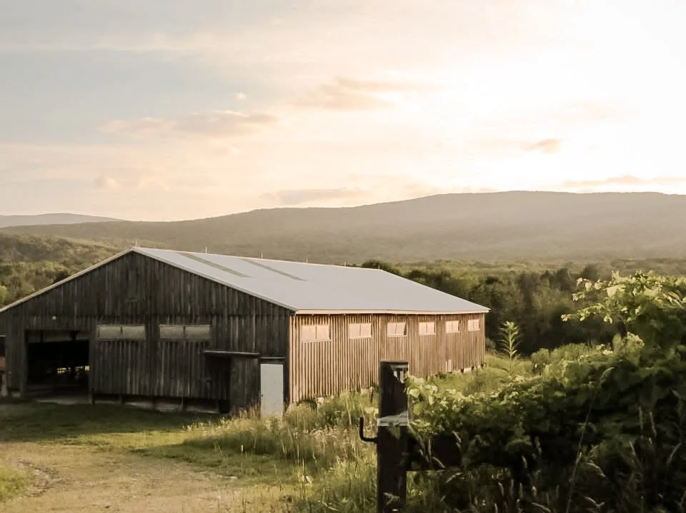 A wooden barn with a metal roof in a rural landscape, surrounded by greenery and hills in the background during sunset.