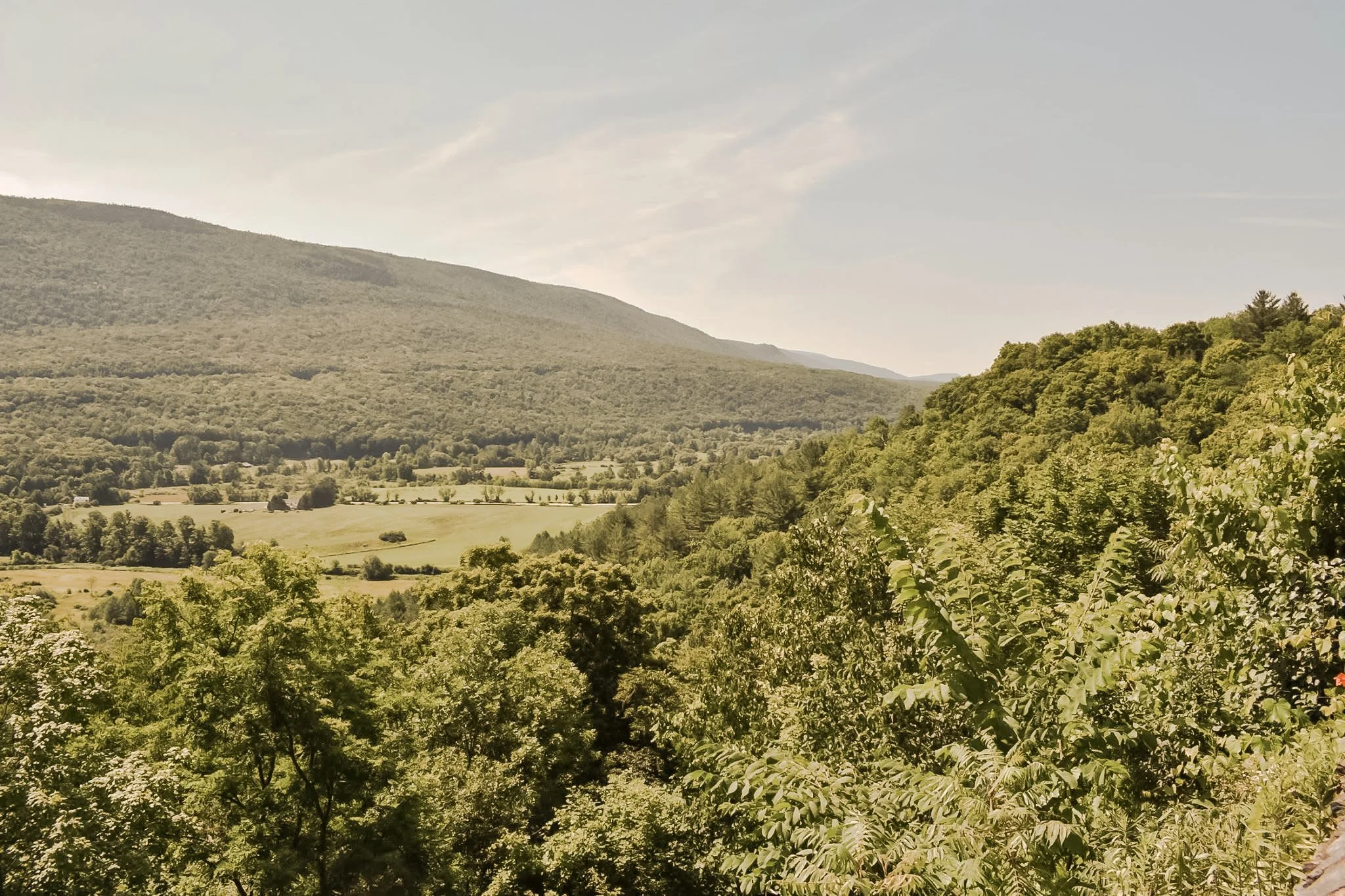Hills with dense green trees in the foreground, open fields, and distant mountains under a partly cloudy sky.