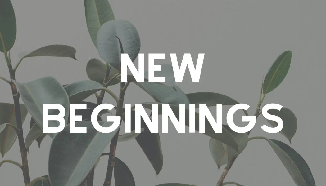 Text 'NEW BEGINNINGS' over a background of green leaves from a plant.