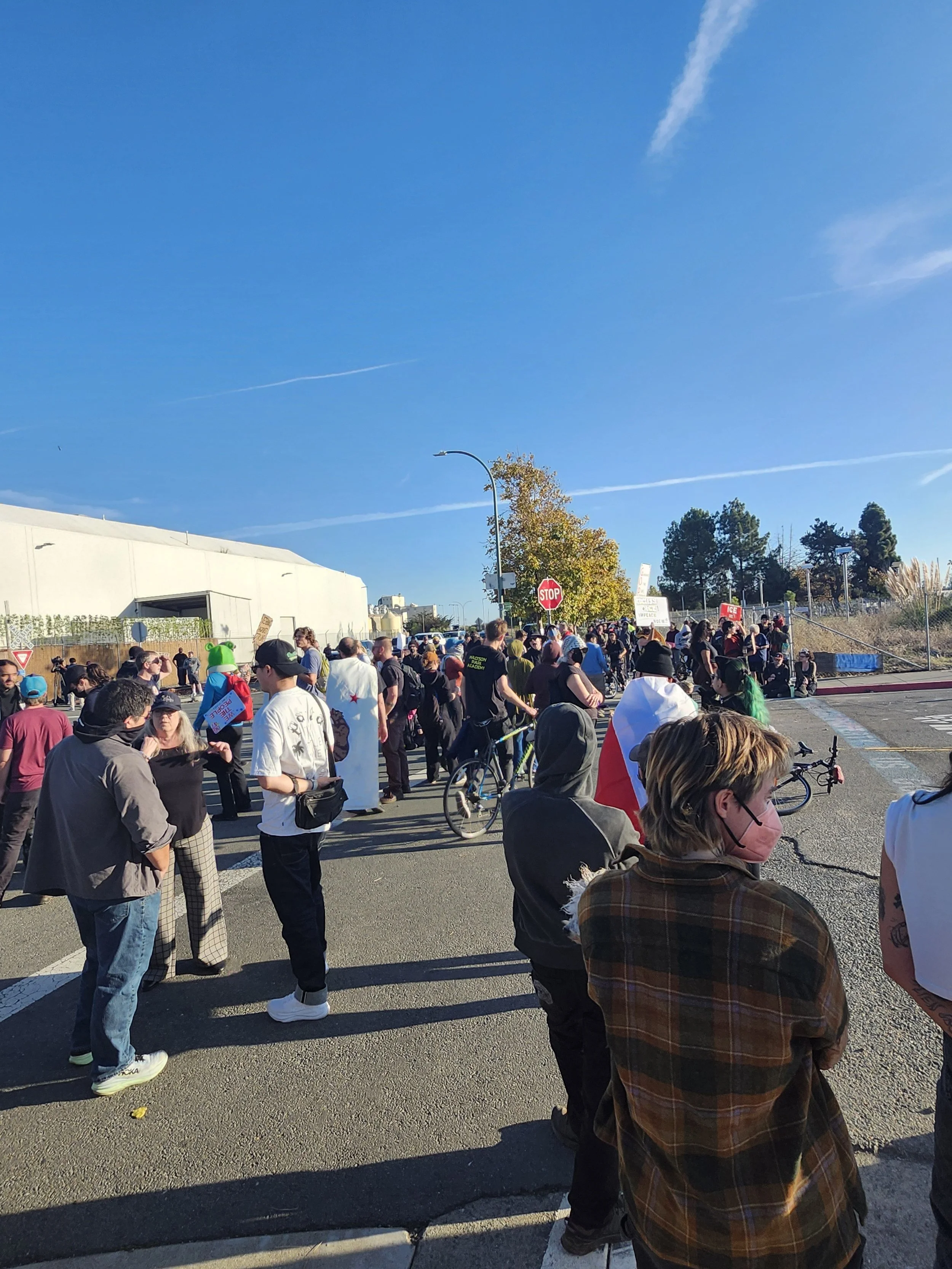 Modern building with wooden exterior walls and a large glass window, surrounded by yellow vegetation, with mountains in the background.