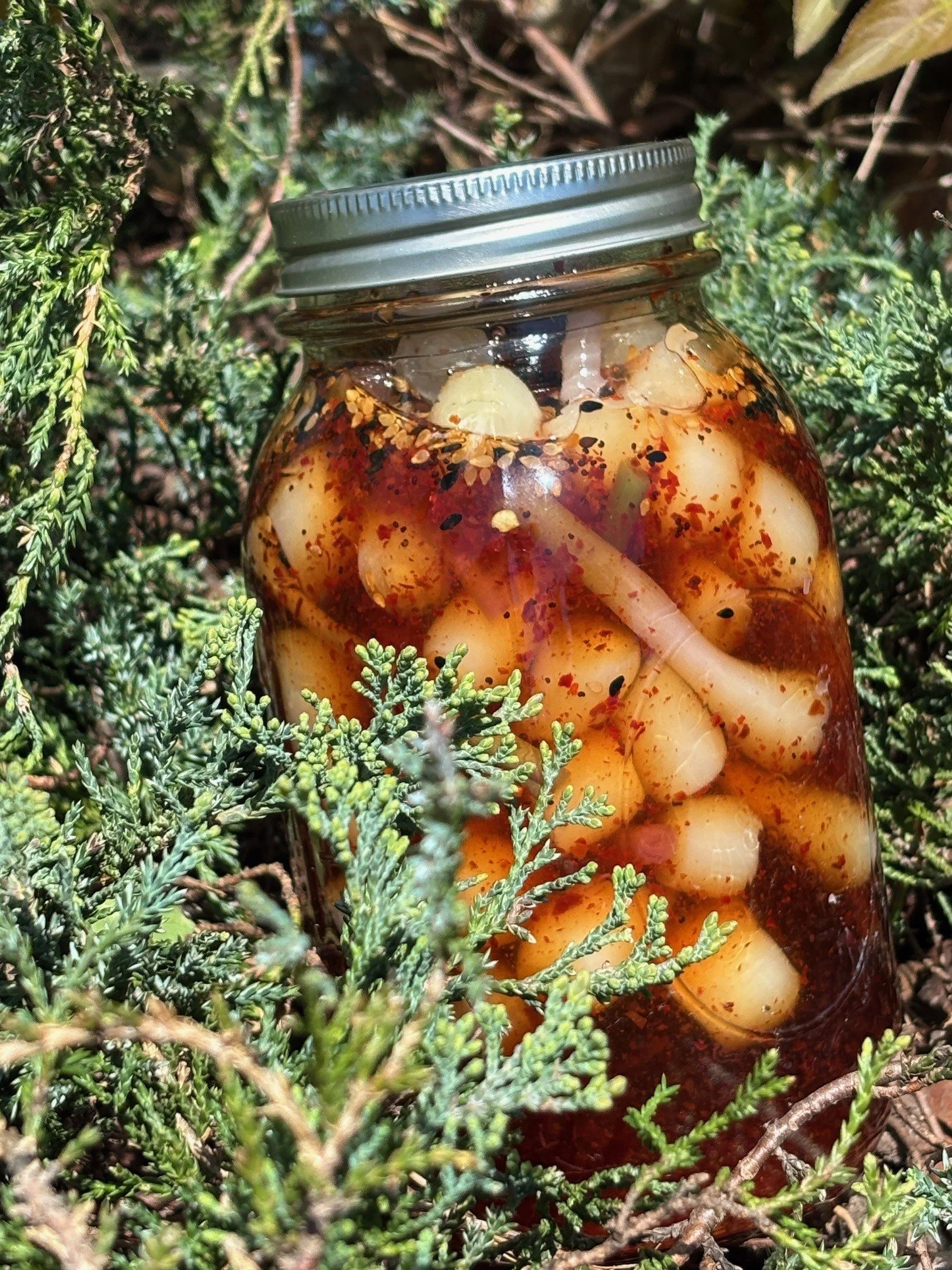 Asian-style Pickled Ramps