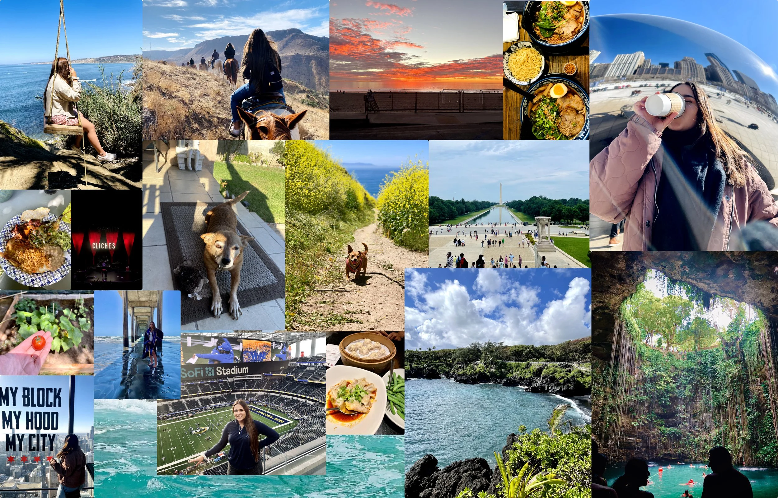 A collage of various scenes including outdoor landscapes, cityscapes, food, people, animals, and attractions in California such as the Golden Gate Bridge, Alamo Square, and a nature cave pool.