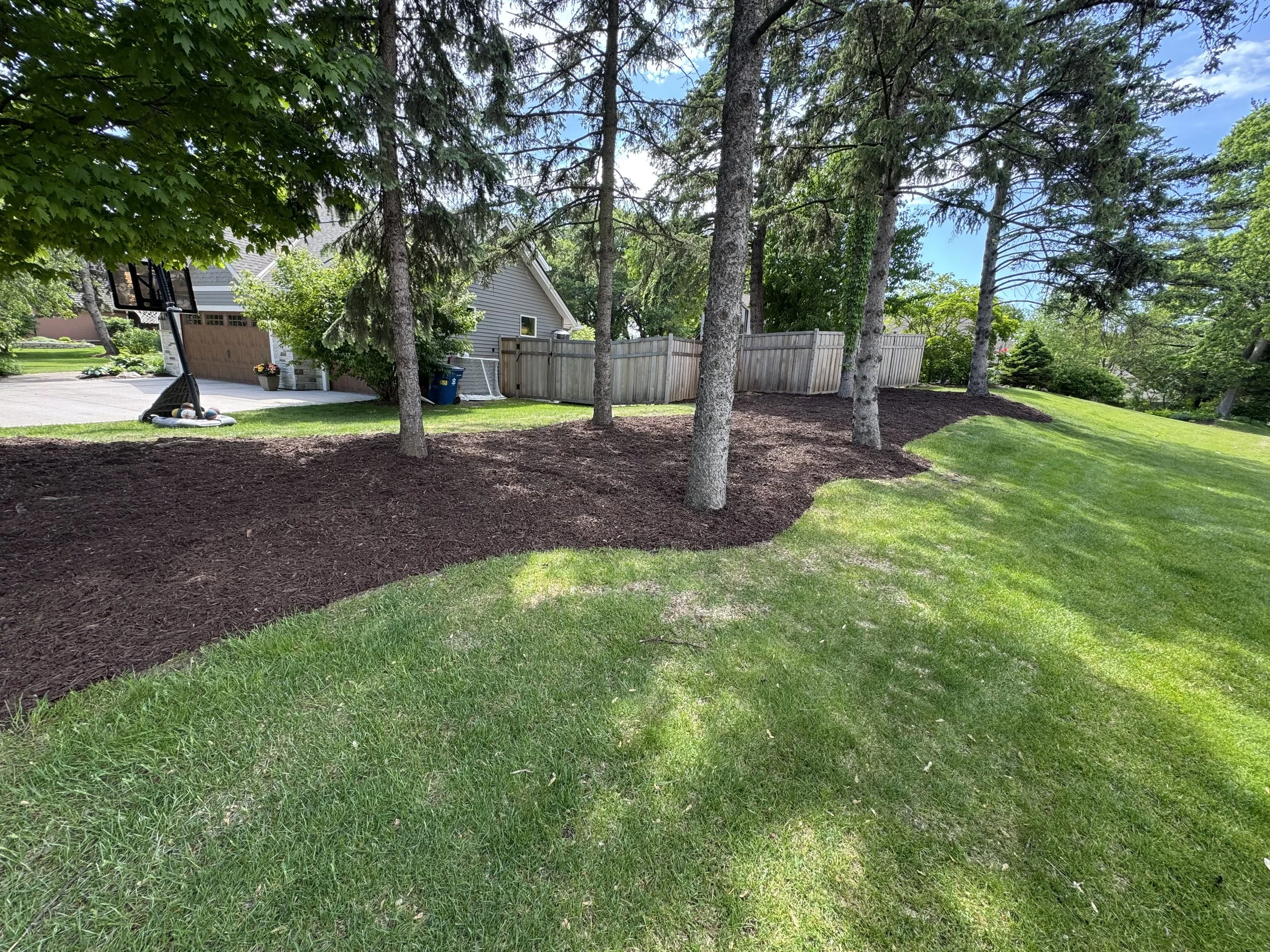 After Mulch and Natural Edging