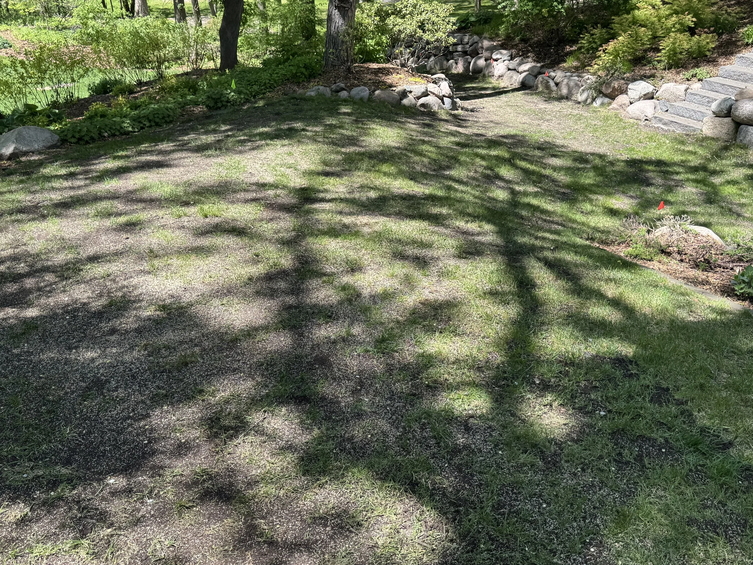 Before New Grass