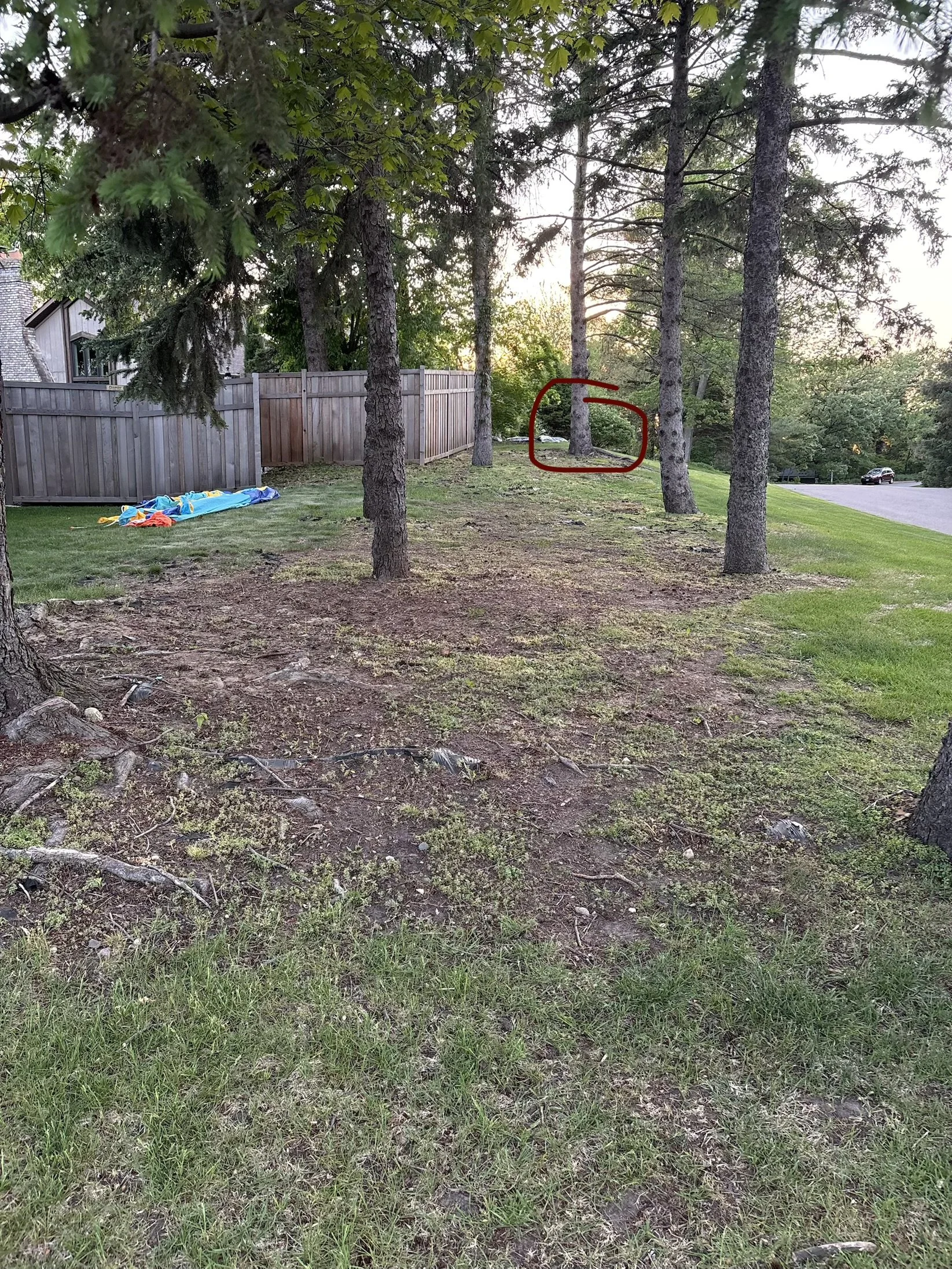 Before Mulch and Natural Edging