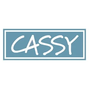 CASSY - Counseling and Support Services for Youth: Director of Finance and Operations