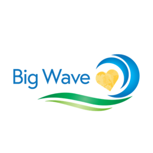 Big Wave Group: Director of Philanthropy