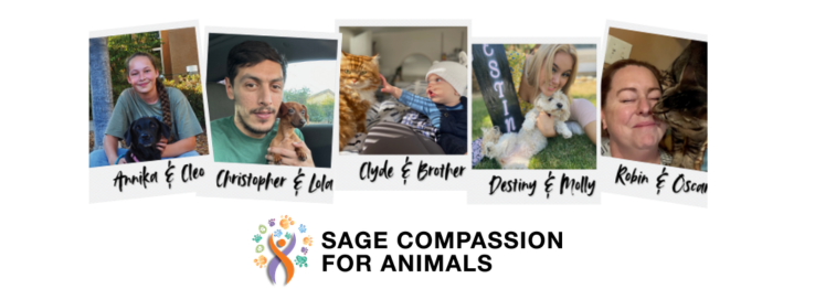 Sage Compassion for Animals: Afternoon at the Pines