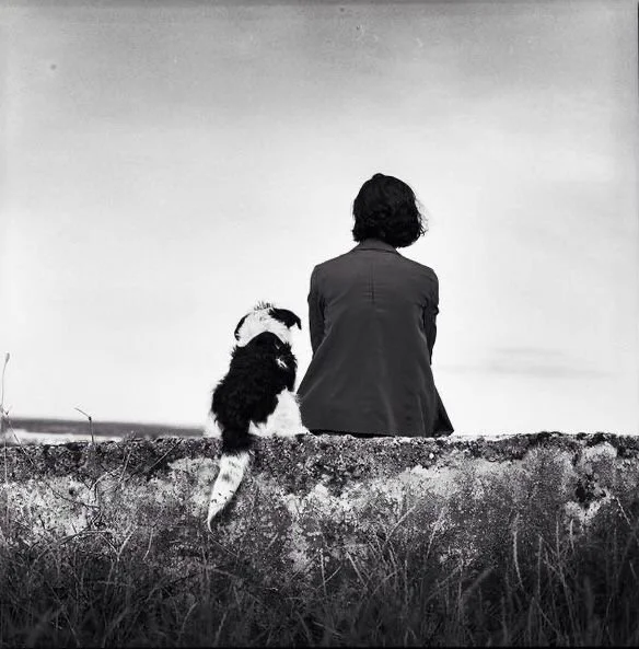 A person sitting on a stone ledge with a dog, both facing away, overlooking an open sky in black and white.
