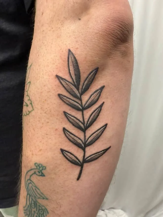 A black outline tattoo of a plant with multiple elongated leaves on a person's upper arm.