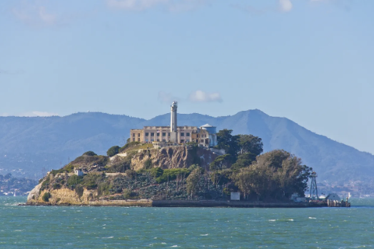 Enhancing Org Value through Effective Fraud Risk Management