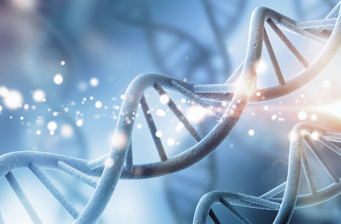 User Centred Design: App Design