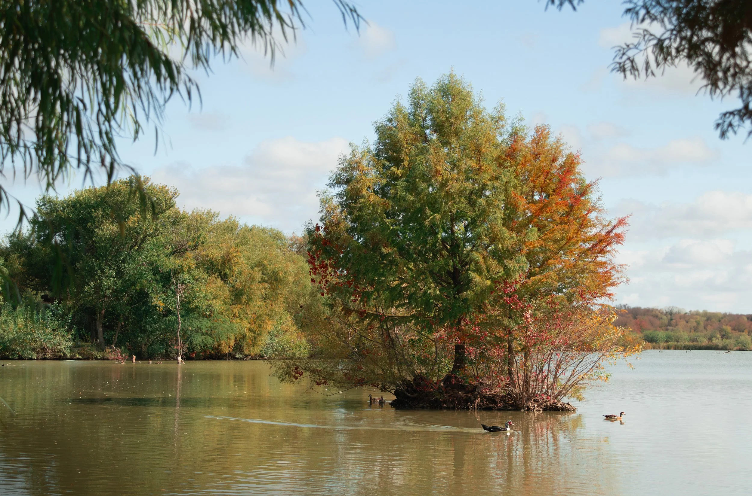LANDSCAPE 3.jpg