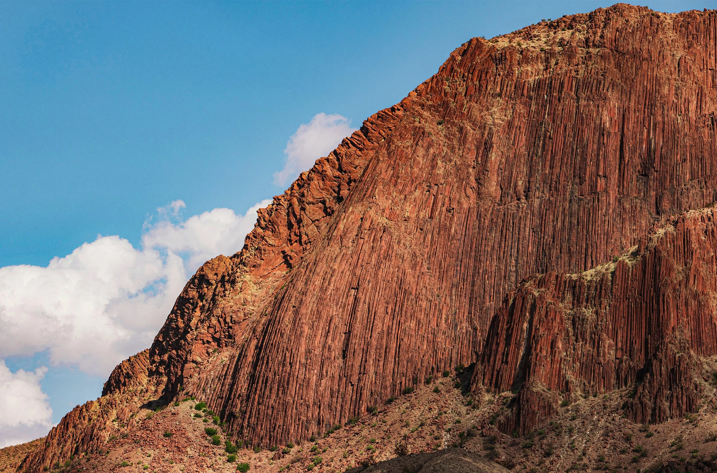 LANDSCAPE 6.5.jpg