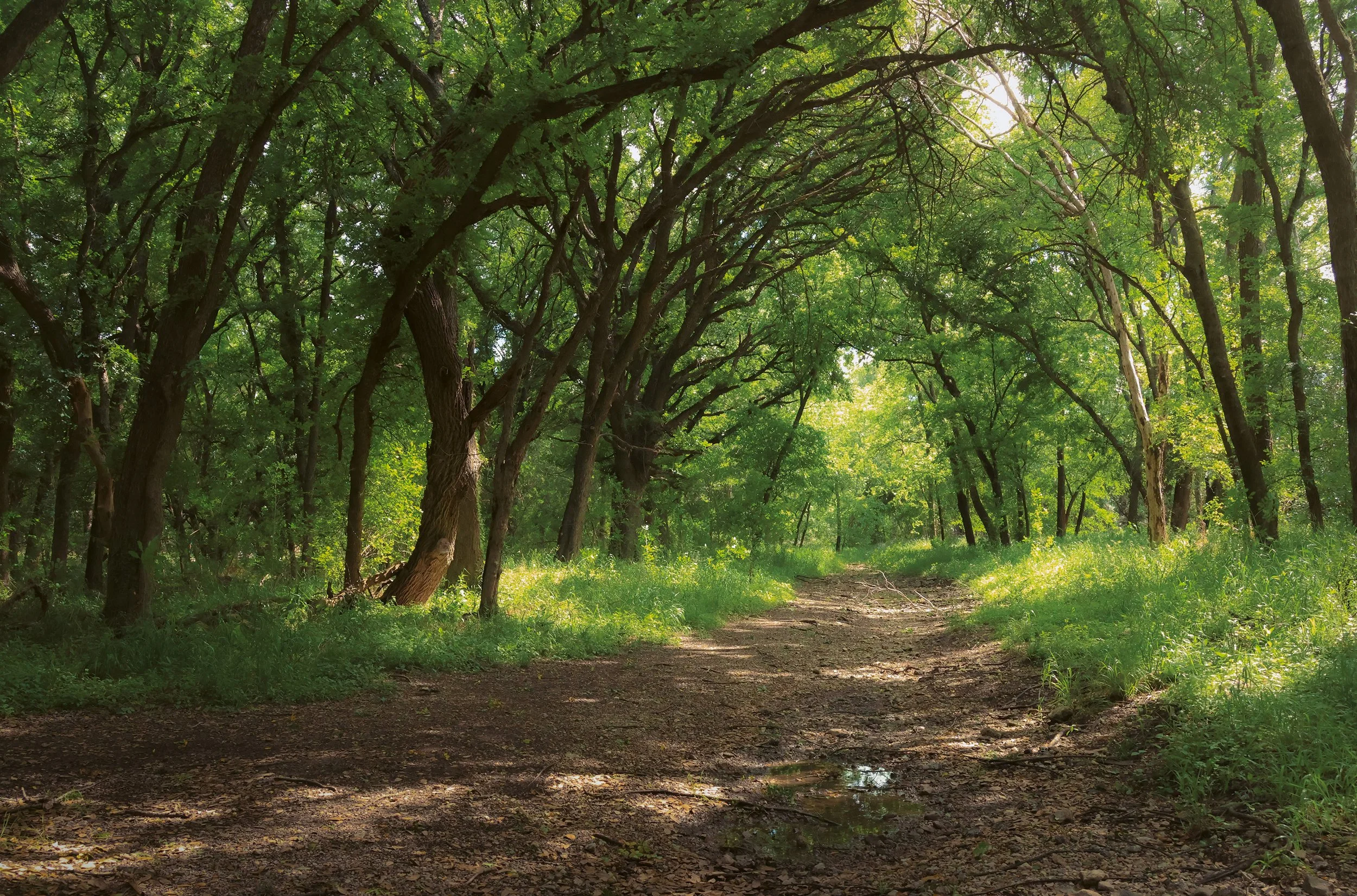 LANDSCAPE 2.jpg