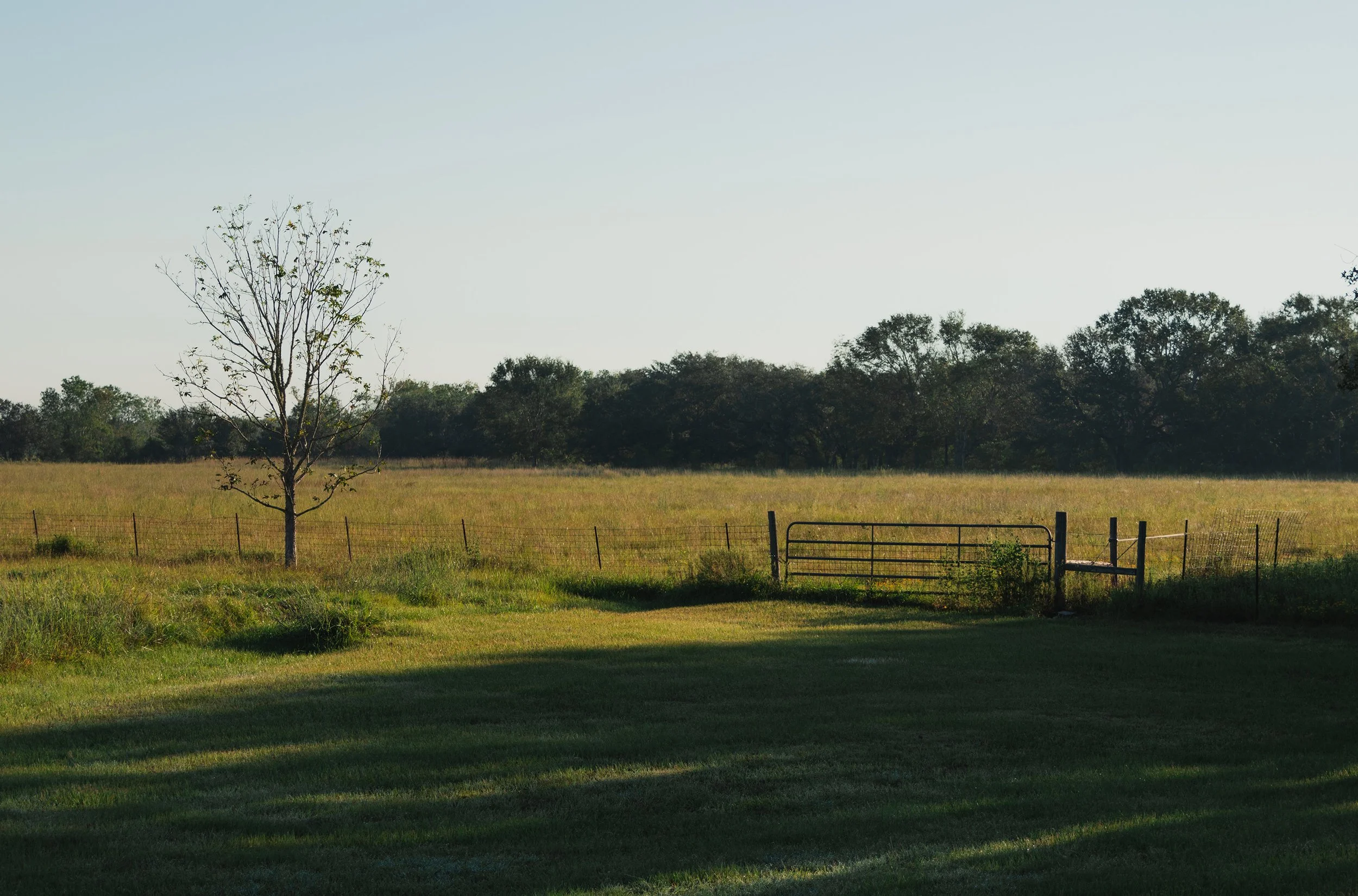 LANDSCAPE 4.jpg
