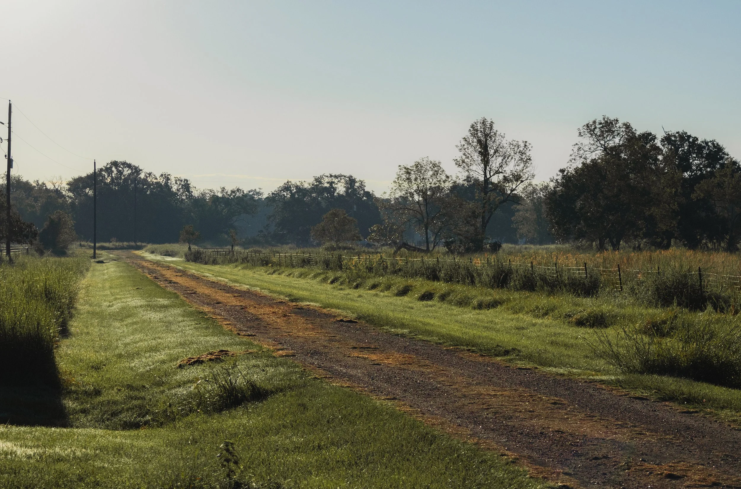 LANDSCAPE 8.jpg