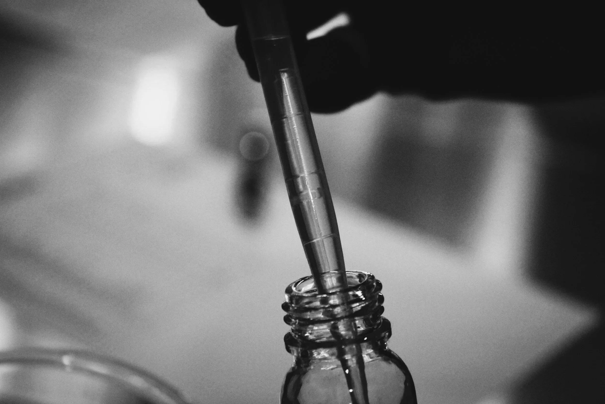 Text in black bold letters on a white background reading, What's new?