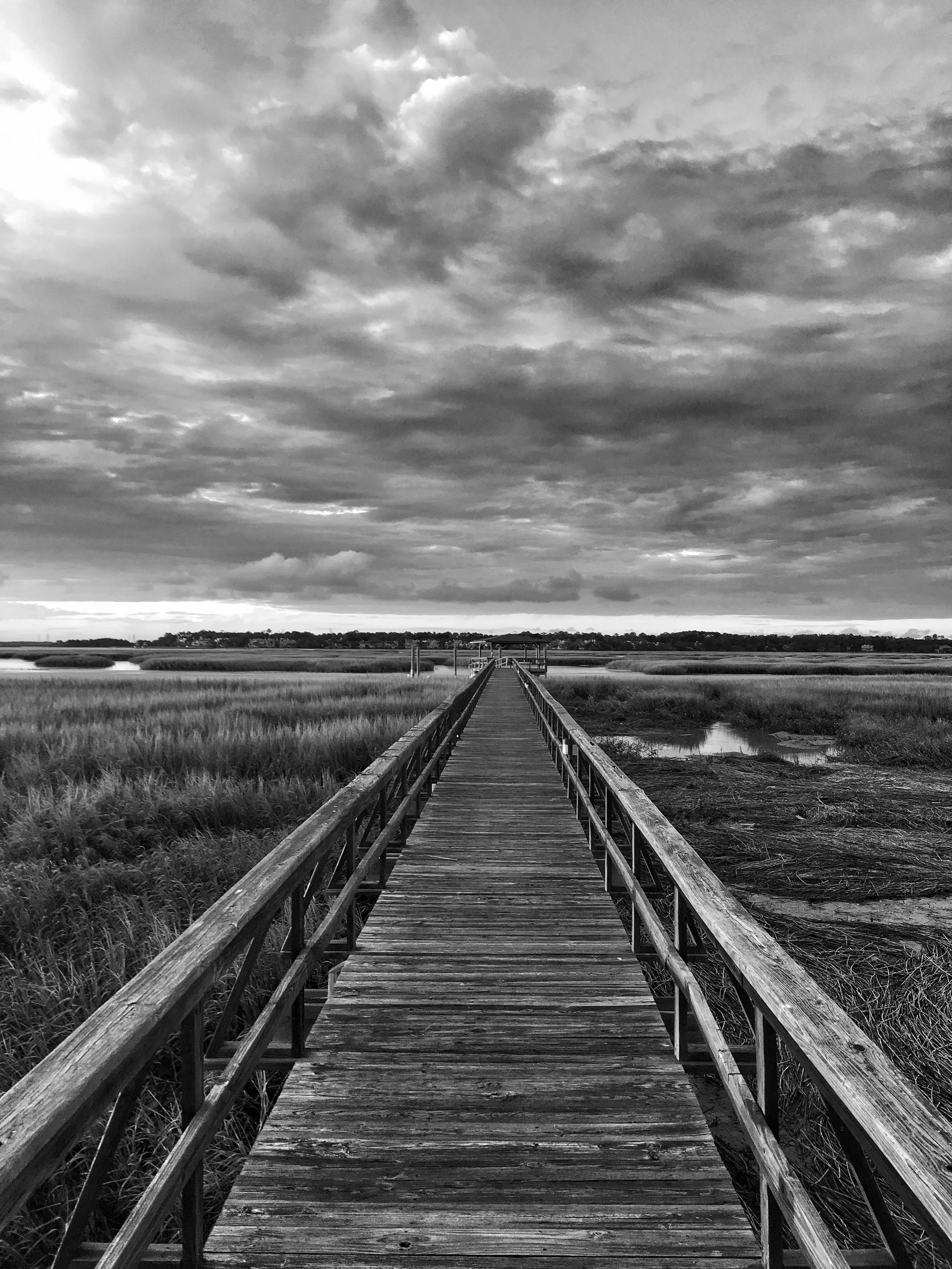 A wooden boardwalk extending into a marshland with tall grass and water, under a cloudy sky in black and white.