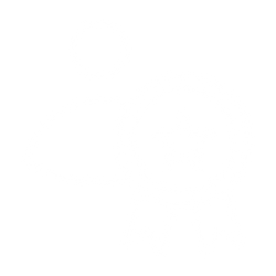 Icon of a person with a medal or badge featuring a star and ribbons. Phoenix AZ Realtor. Real Estate