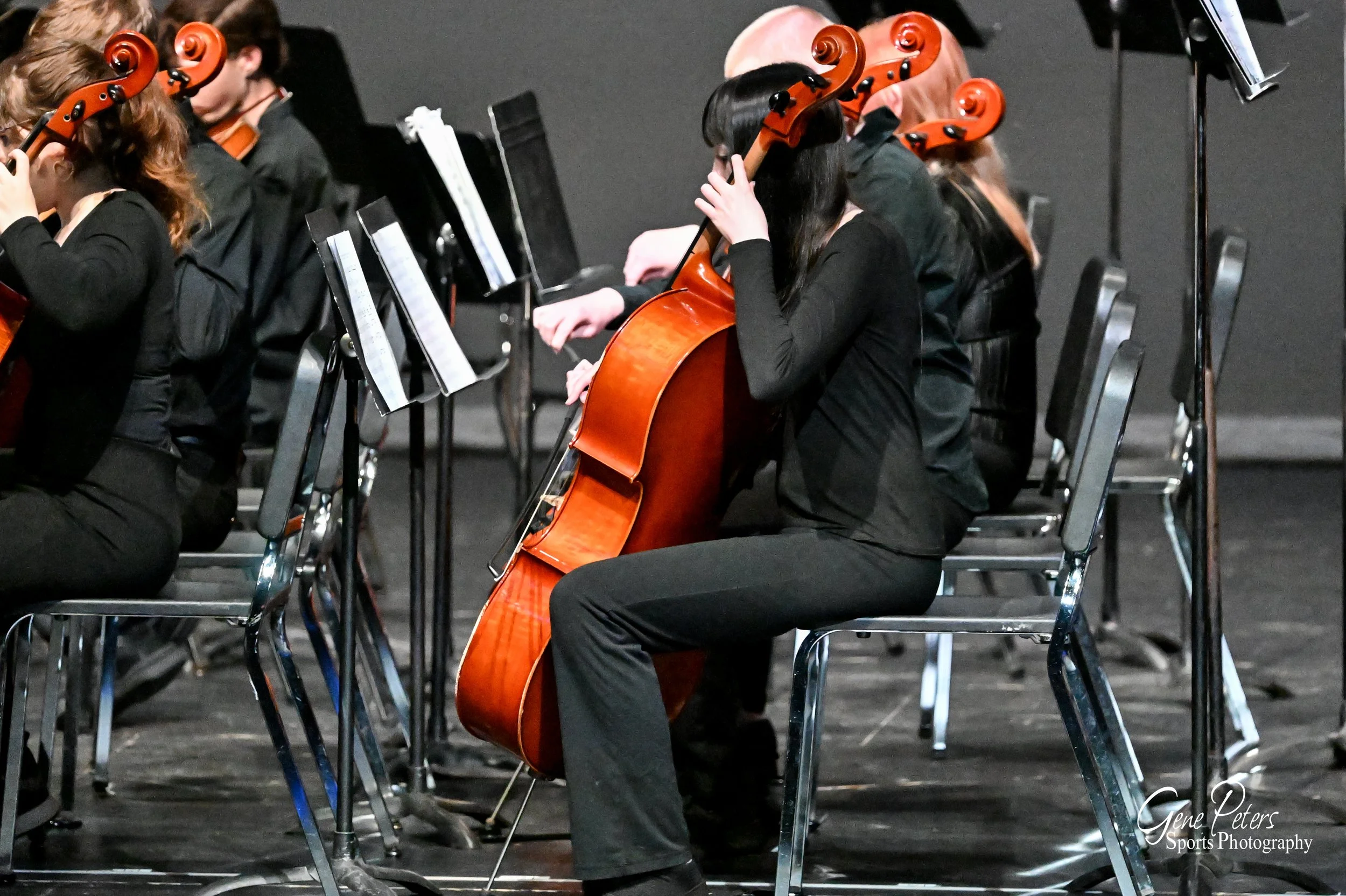 A group of musicians dressed in black, sitting on chairs, playing string instruments including a cello and violins during a concert.
