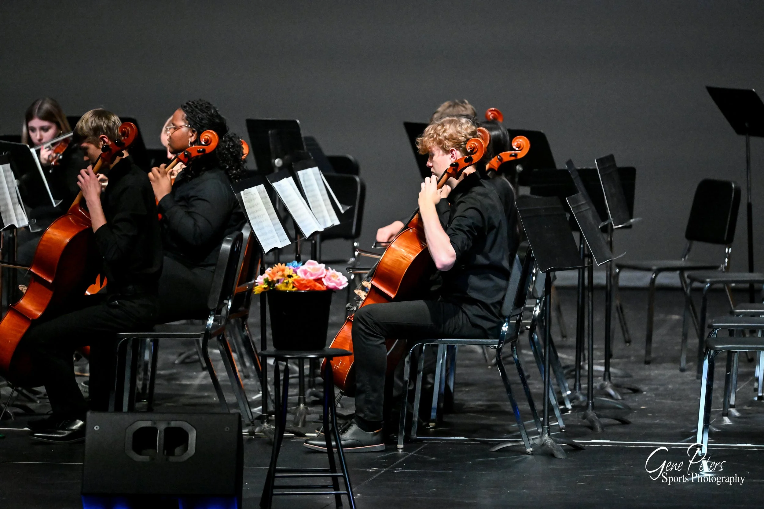 Orchestra musicians playing cellos on stage during a performance