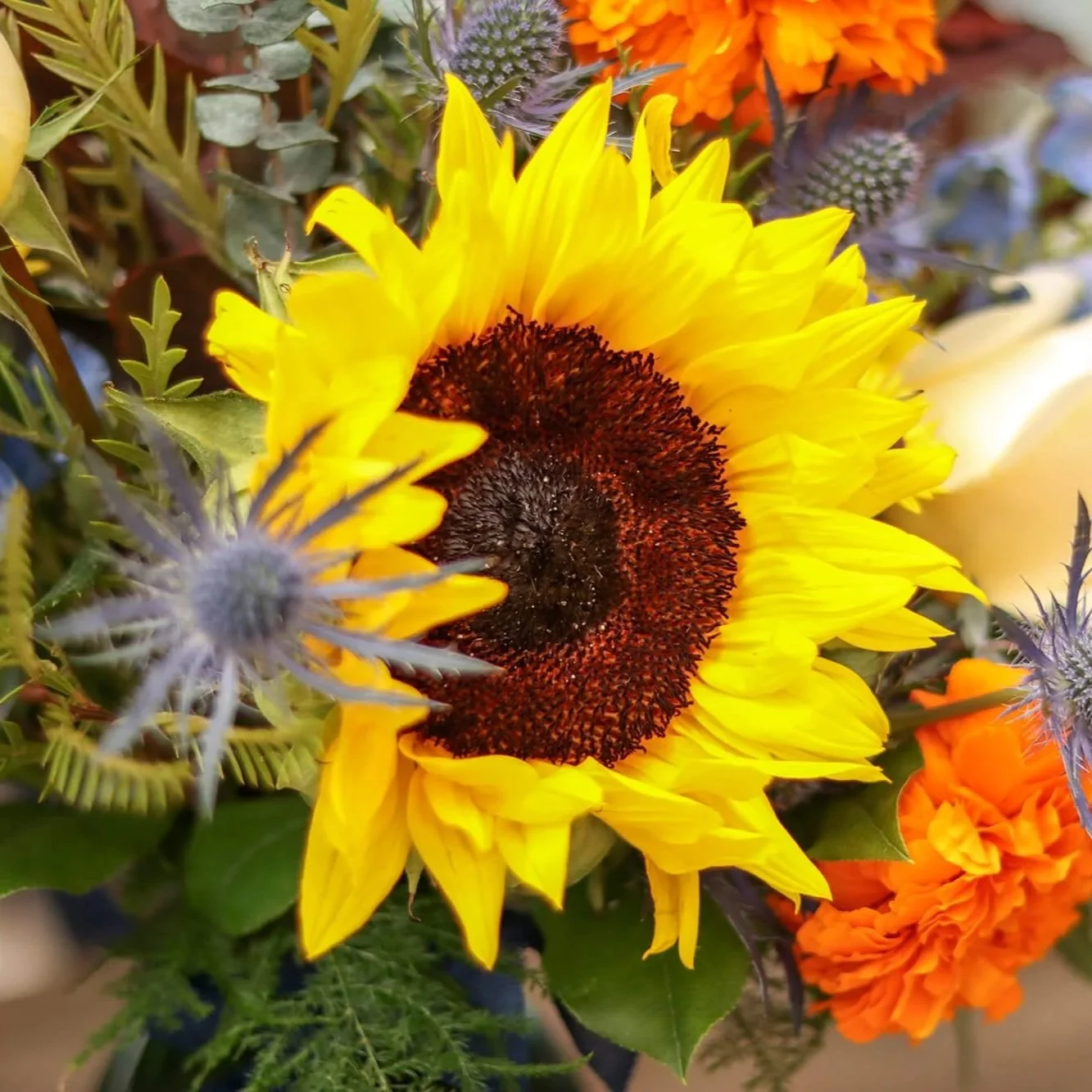 Bloom & Branch Harvest Moon