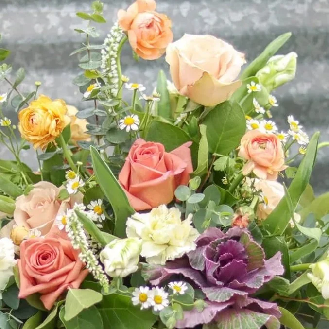 Bloom & Branch Sweet Apricot