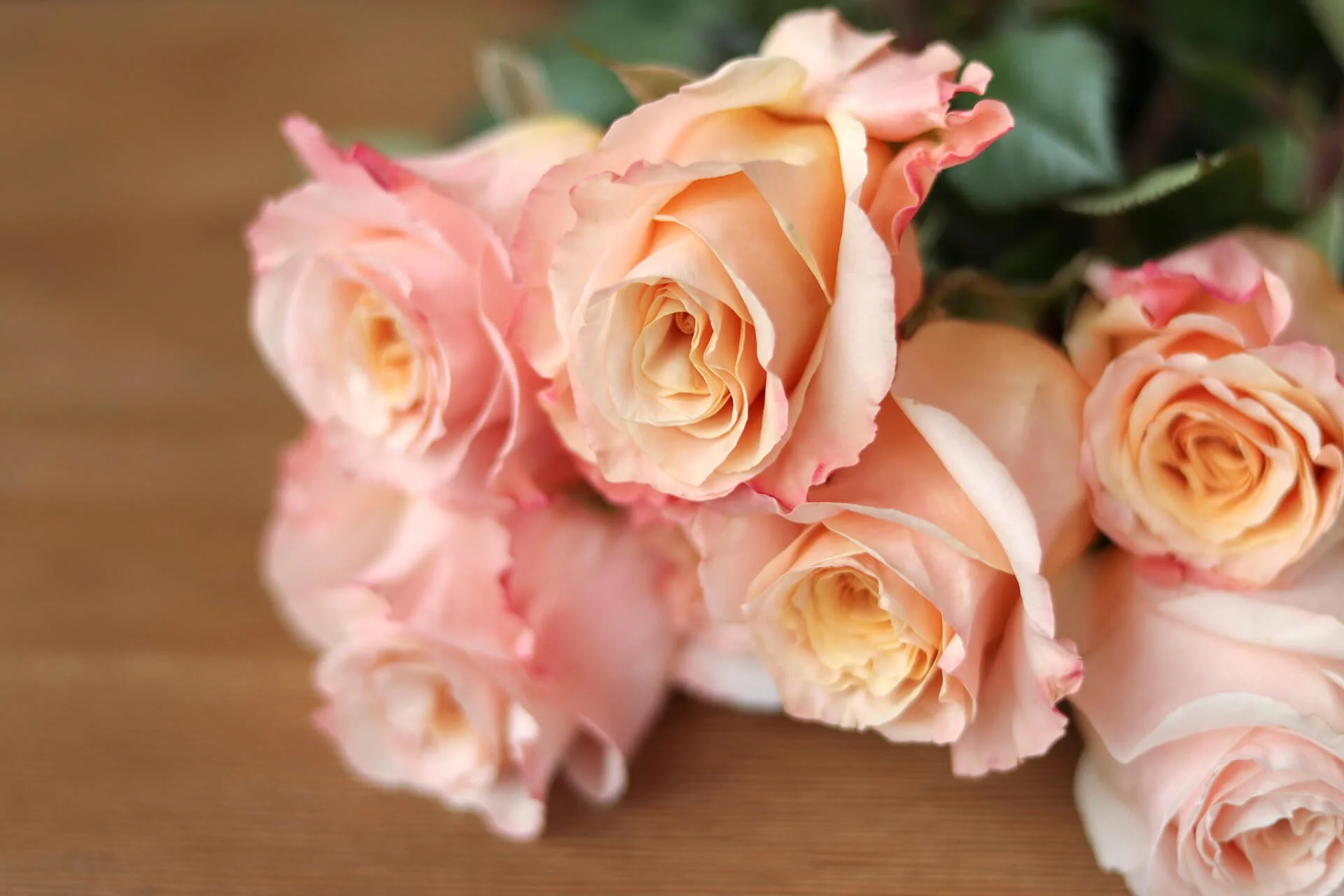 Pink Roses__4_web.jpg