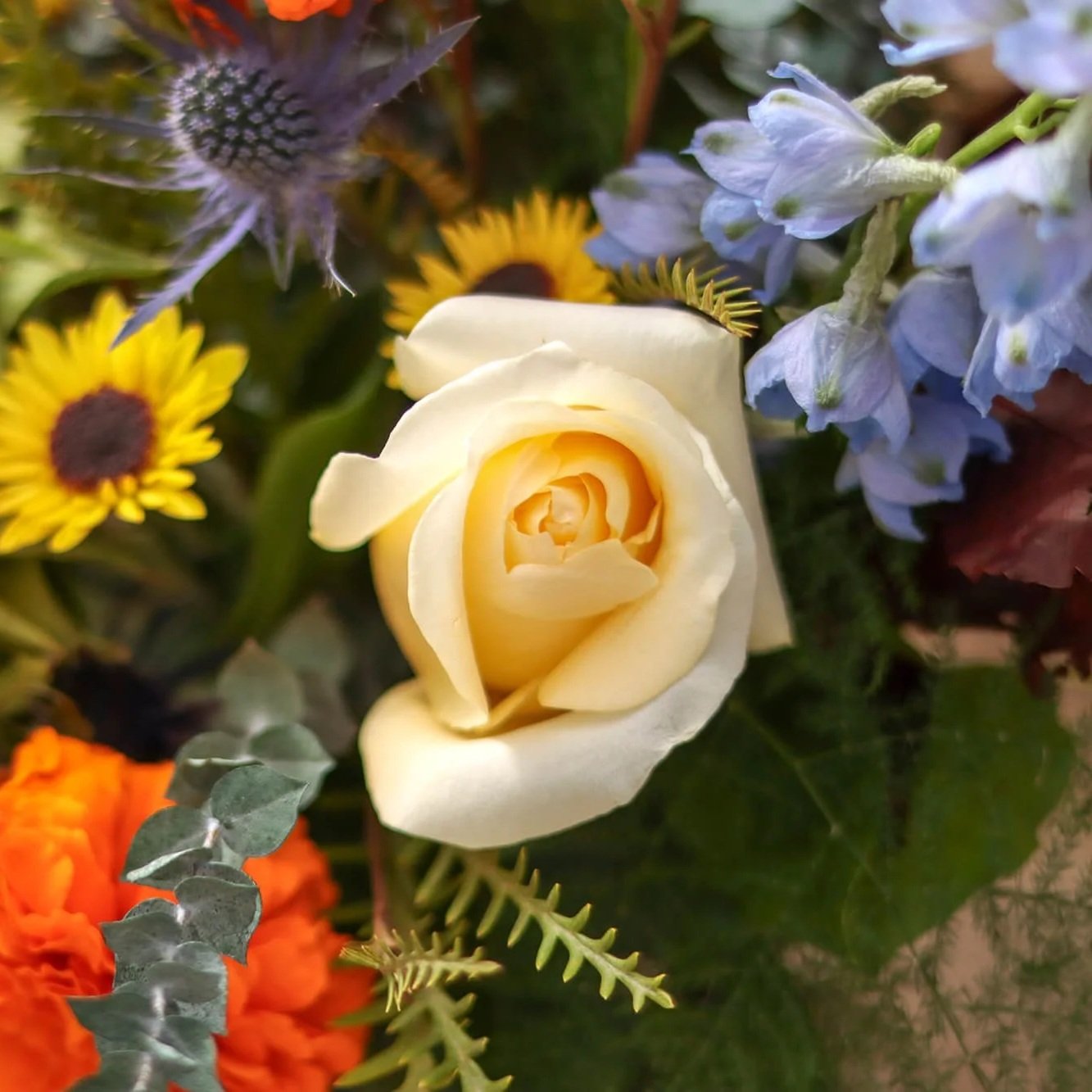 Bloom & Branch Harvest Moon
