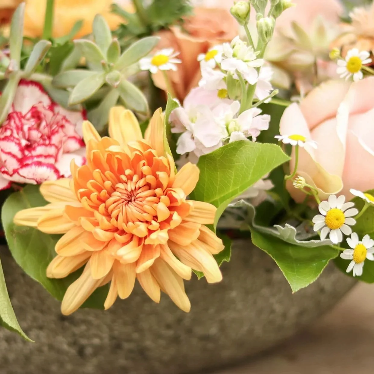 Bloom & Branch Garden Glow Up