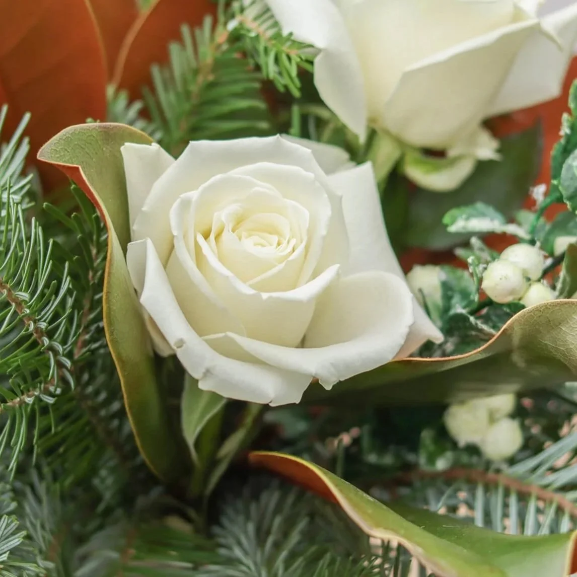White roses surrounded by greenery and pine branches.