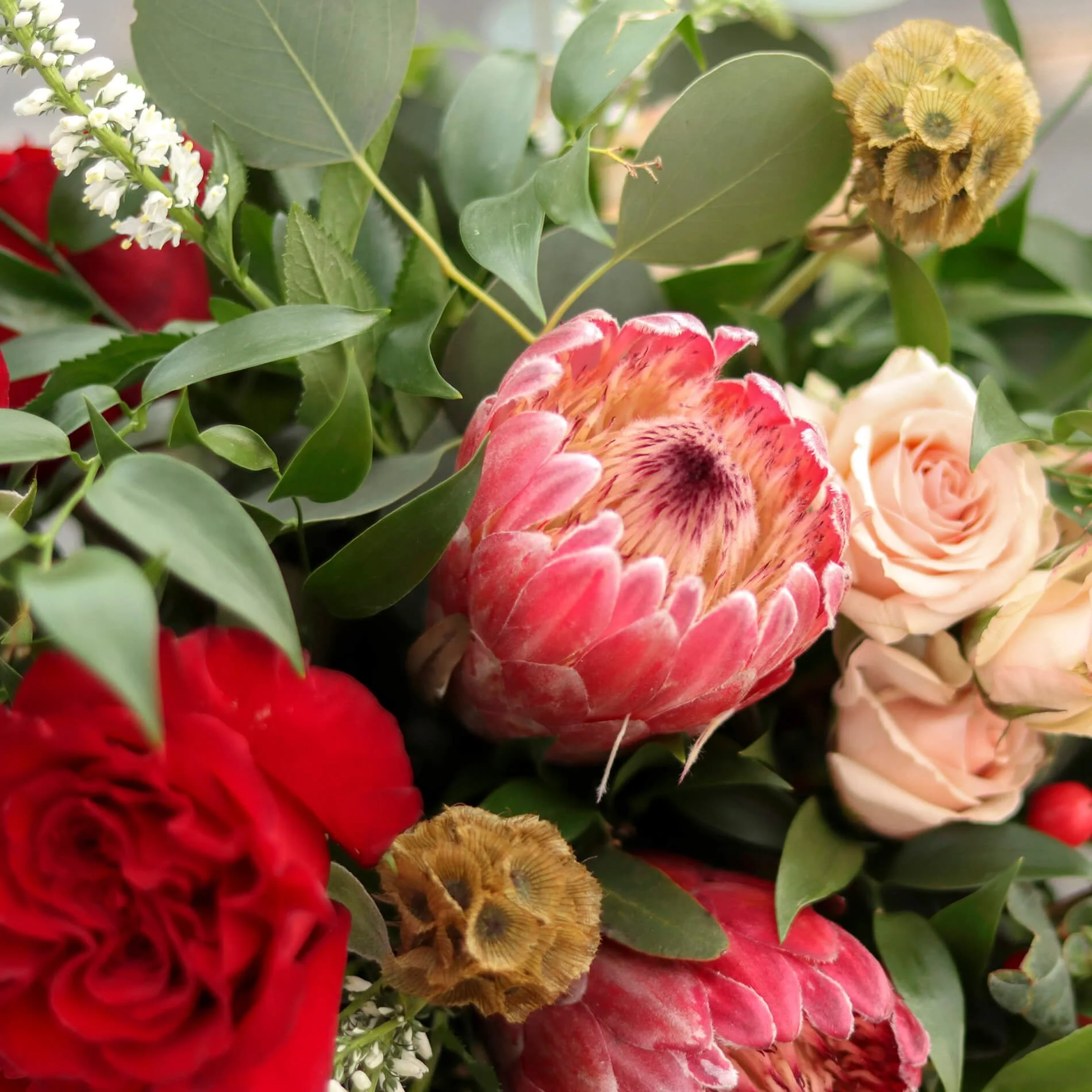 Bloom & Branch Valentine's Day Collection