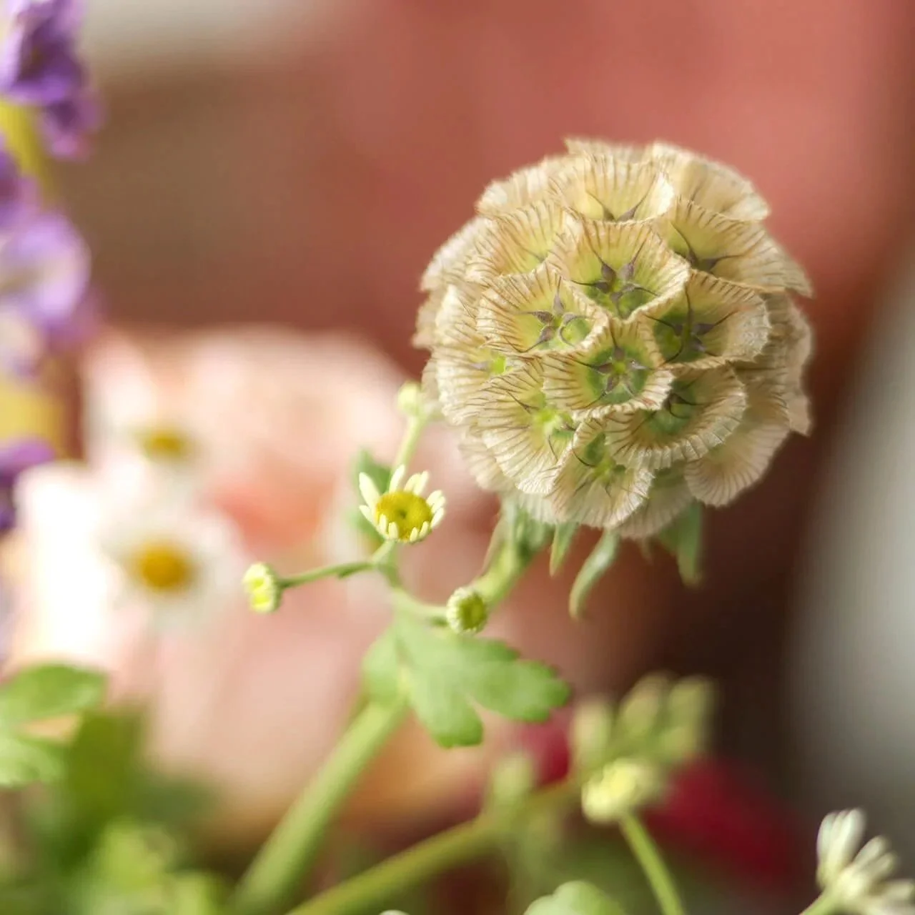 Bloom & Branch Fresh Picked