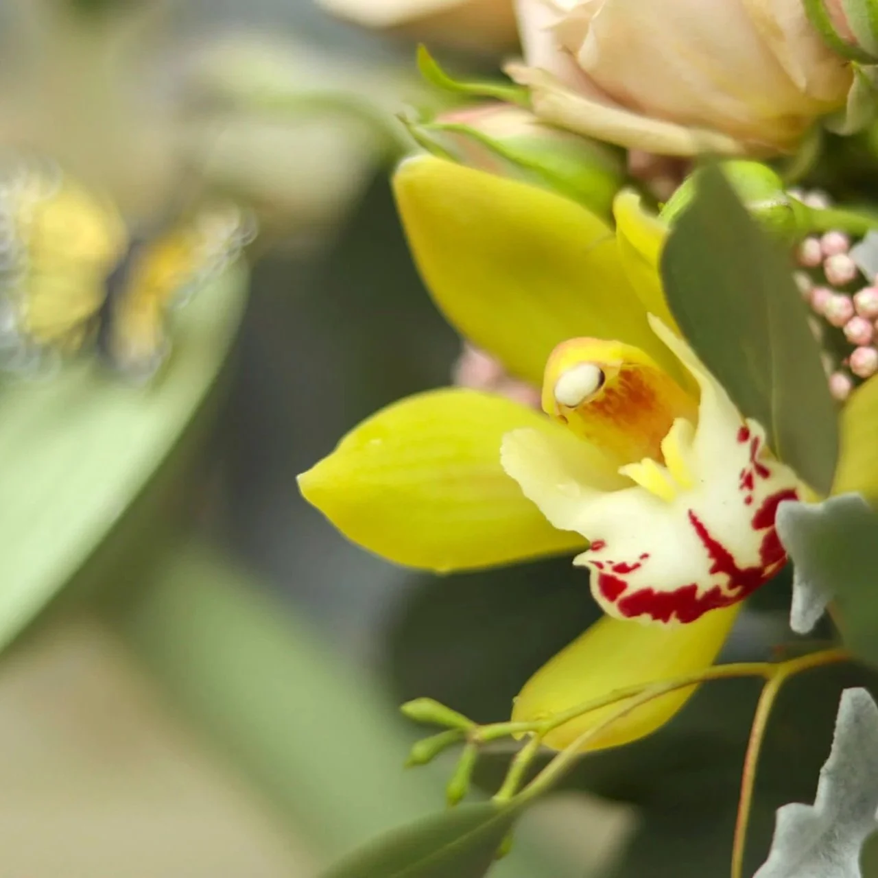 Bloom & Branch Mom's Butterfly Garden