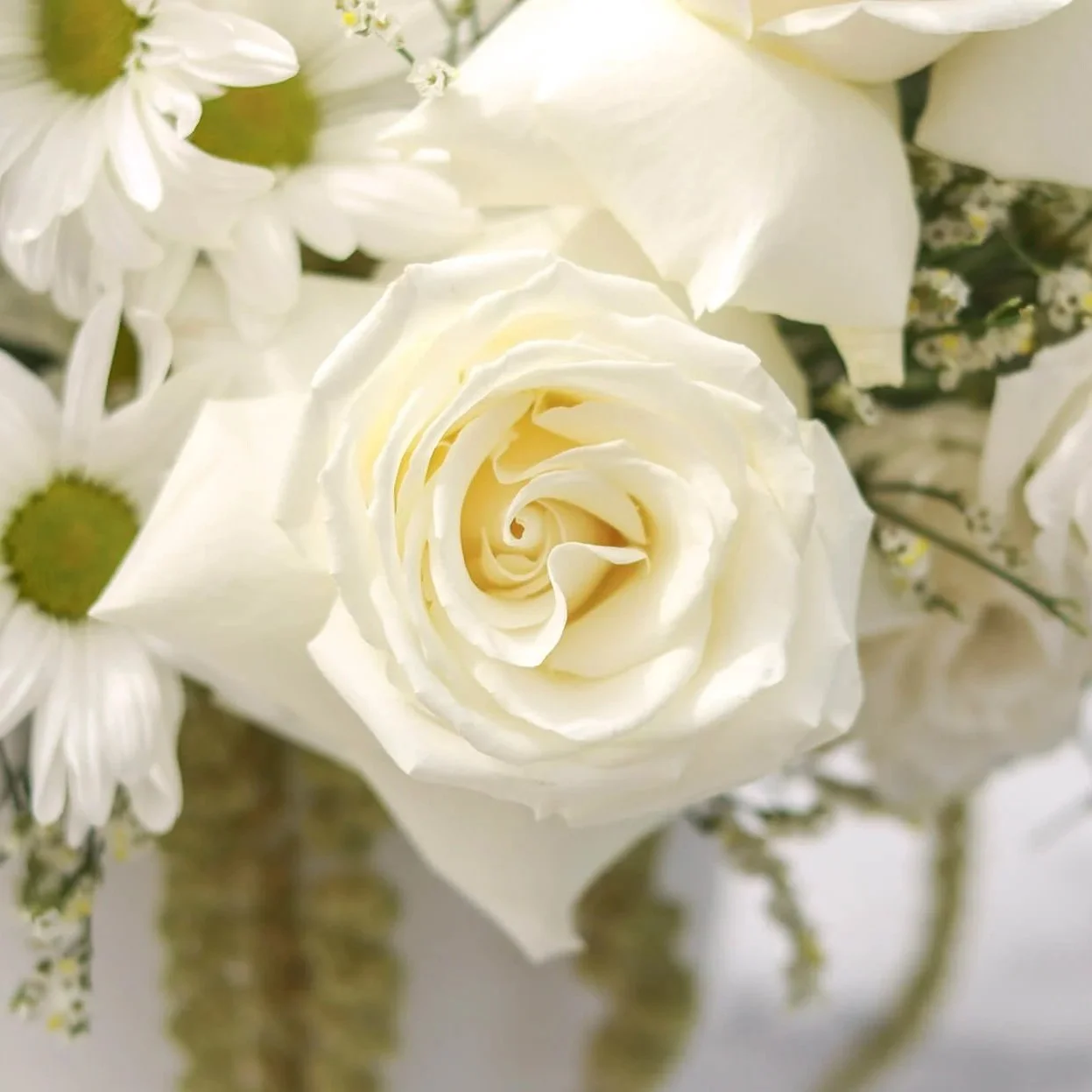 Bloom & Grace With Grace