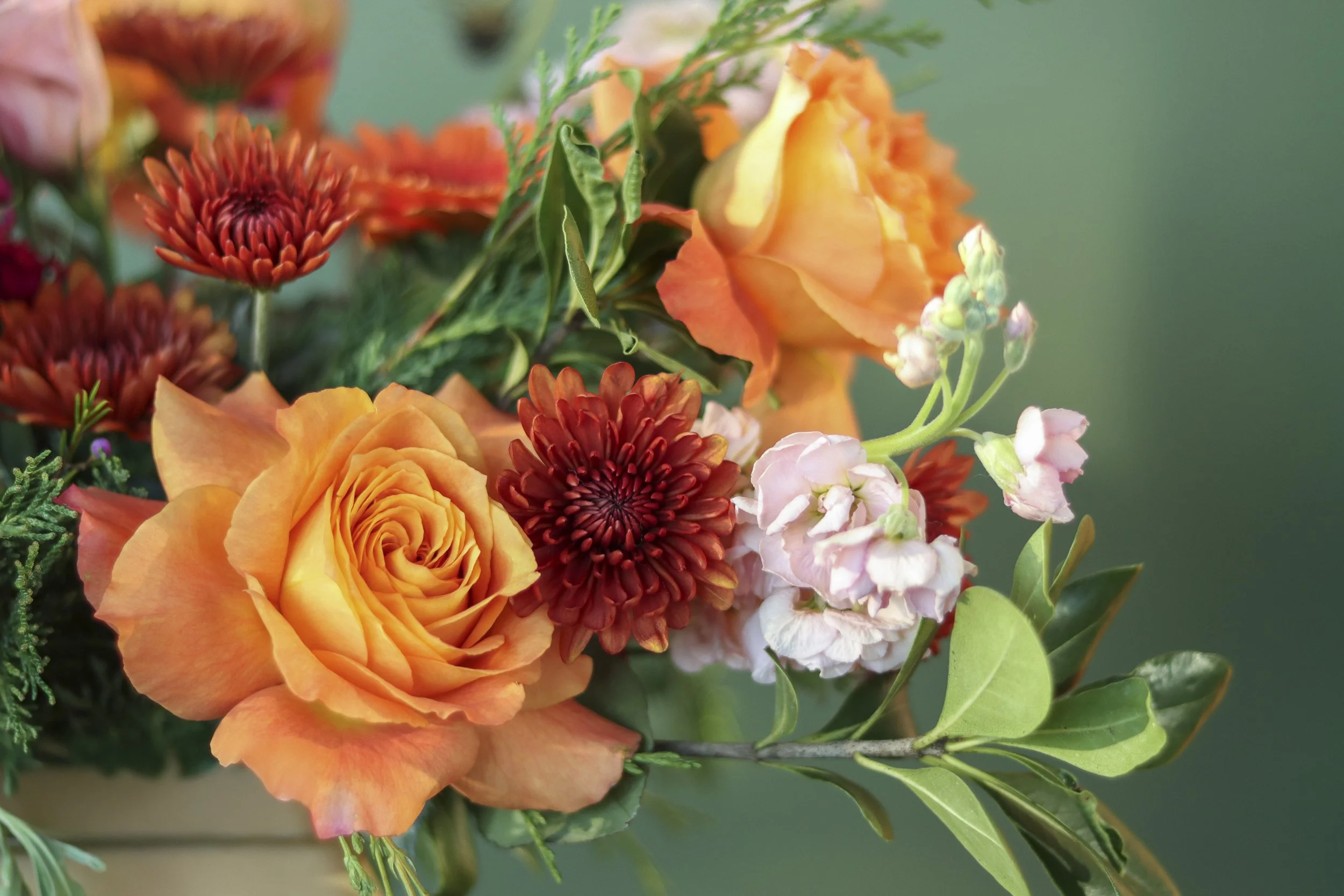 A fun fresh floral bouquet in oranges and pinks.