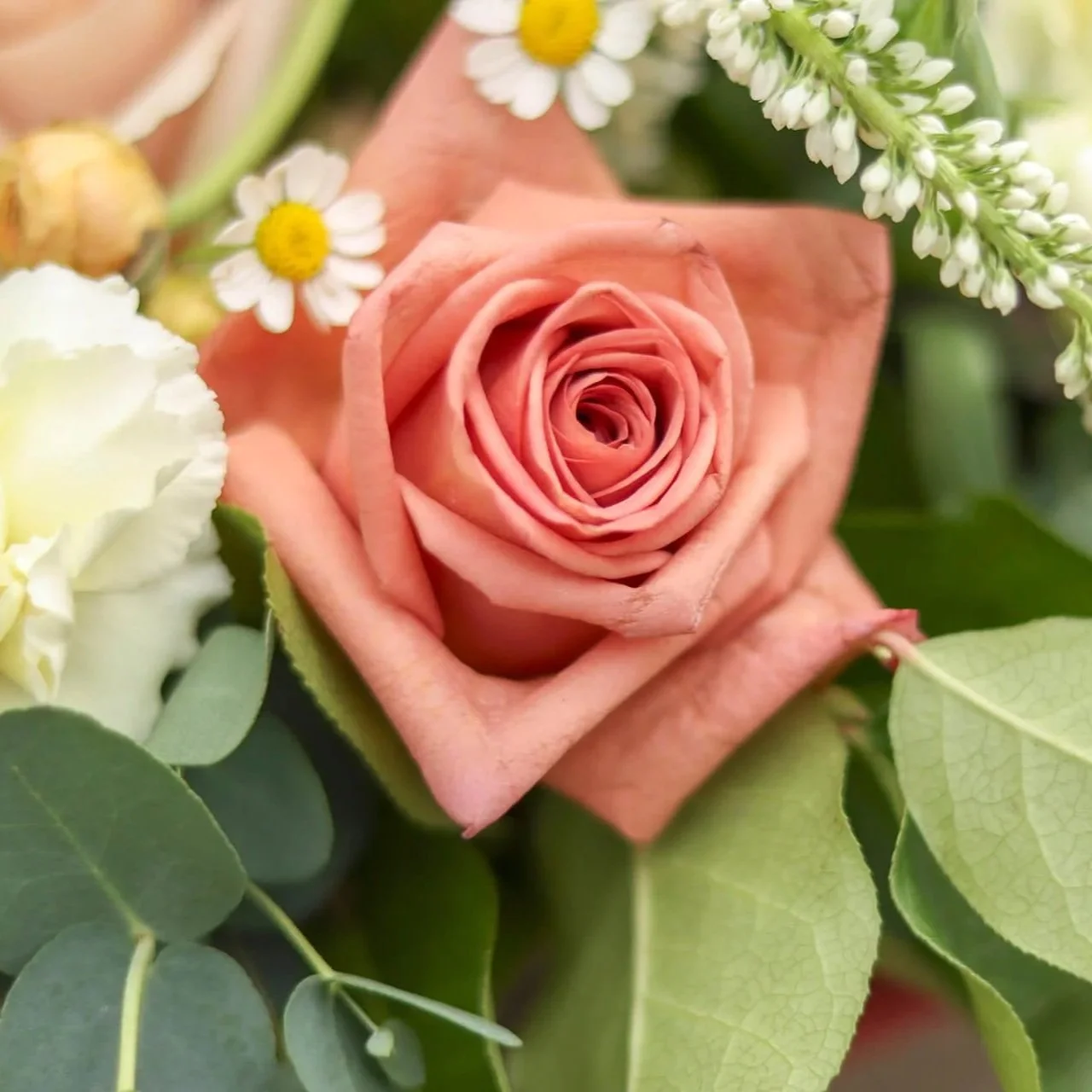 Bloom & Branch Sweet Apricot