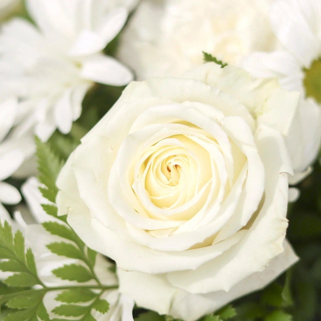 Bloom & Branch A Beautiful Life Casket Spray