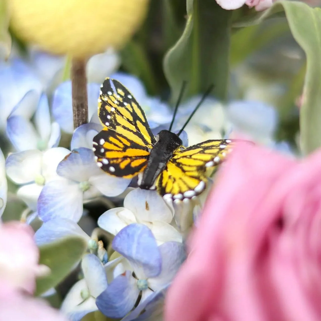 Bloom & Branch Mom's Butterfly Garden