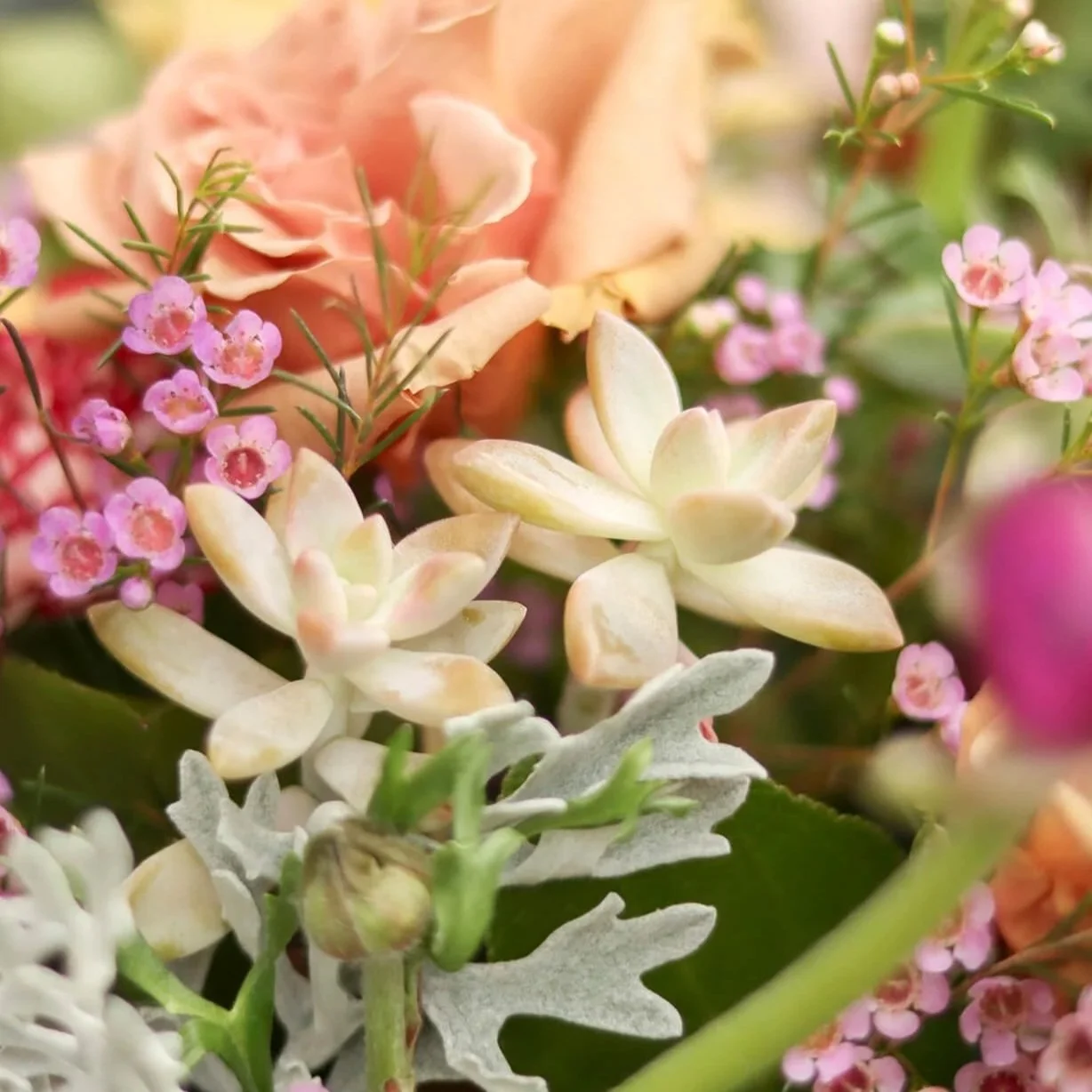 Bloom & Branch Garden Glow Up