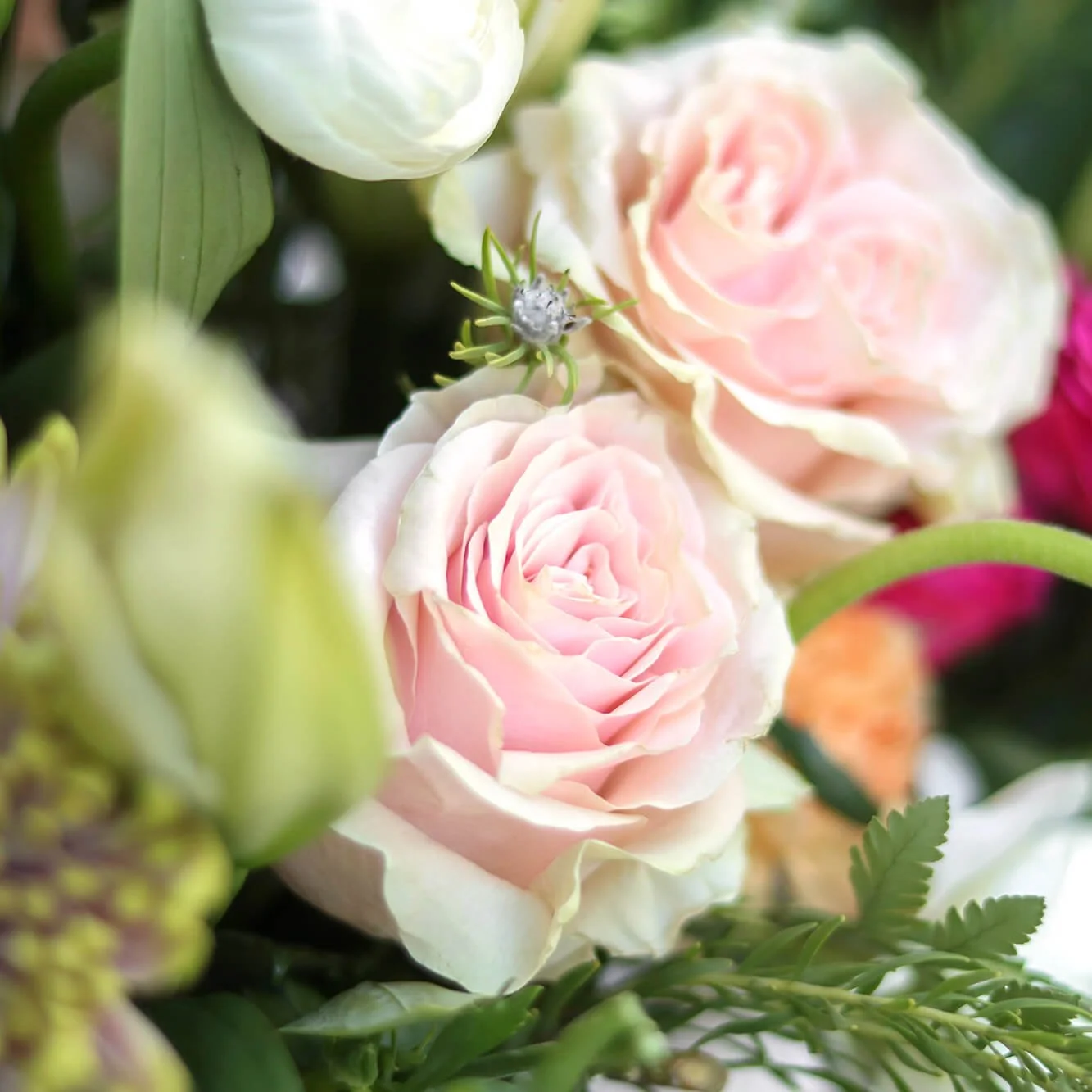 Bloom & Branch Summer Spritz