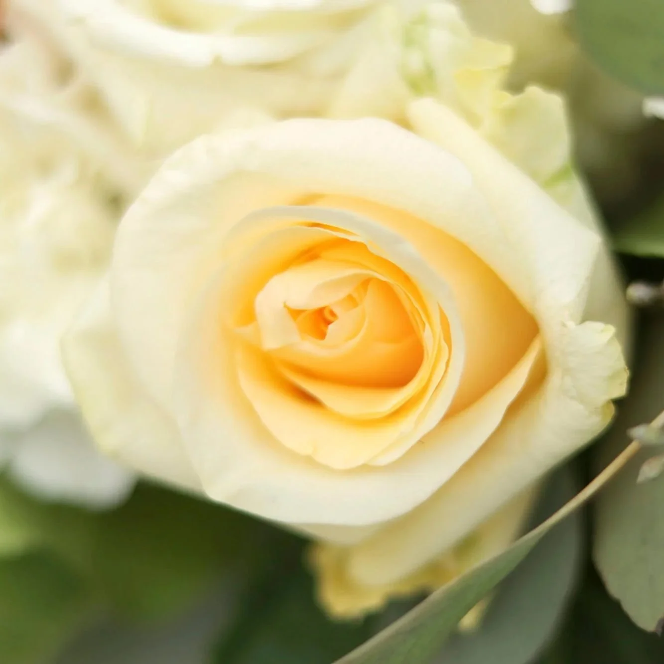 Soft+Garden+Urn+Wreath__14_web.jpg