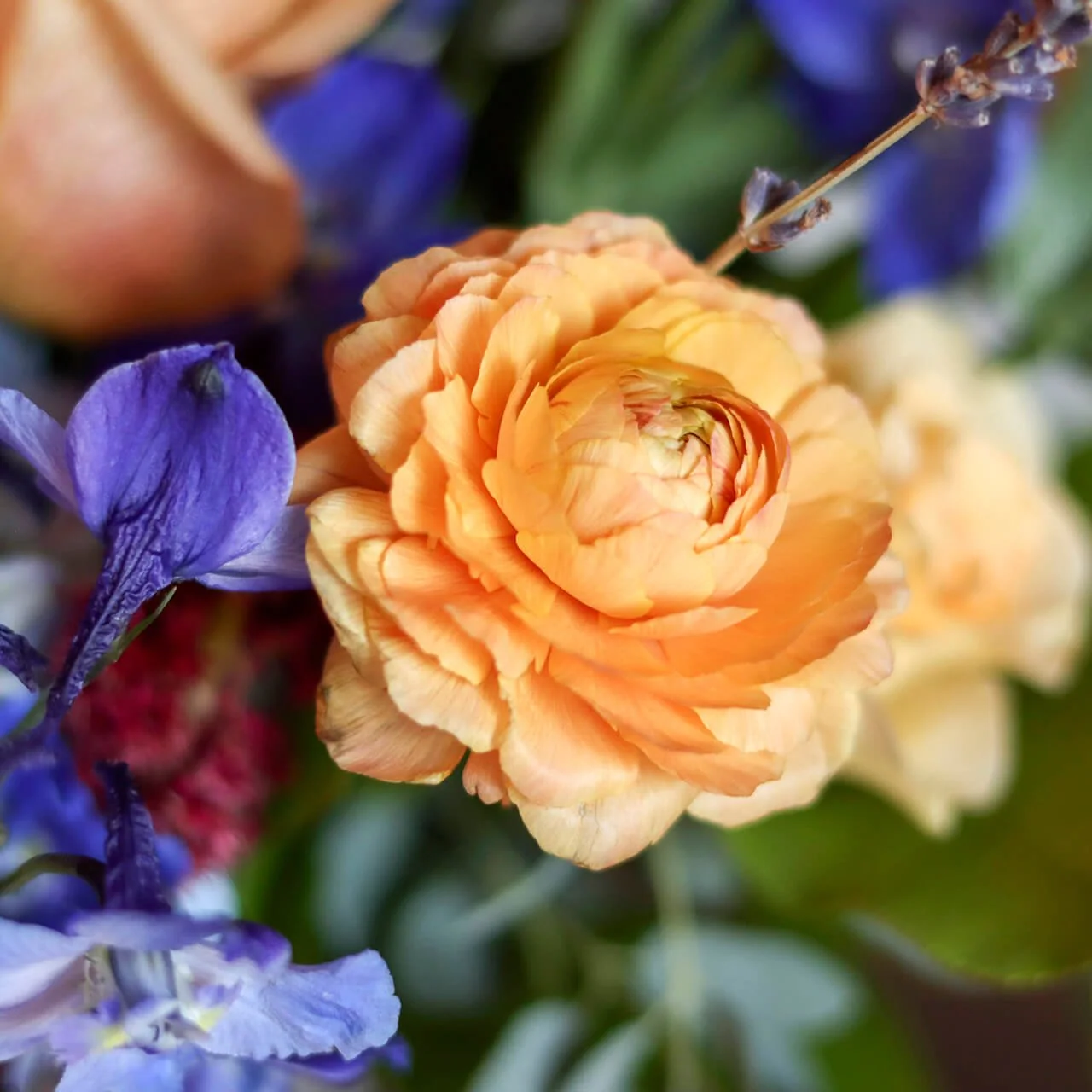 Bloom & Branch Coastal Breeze