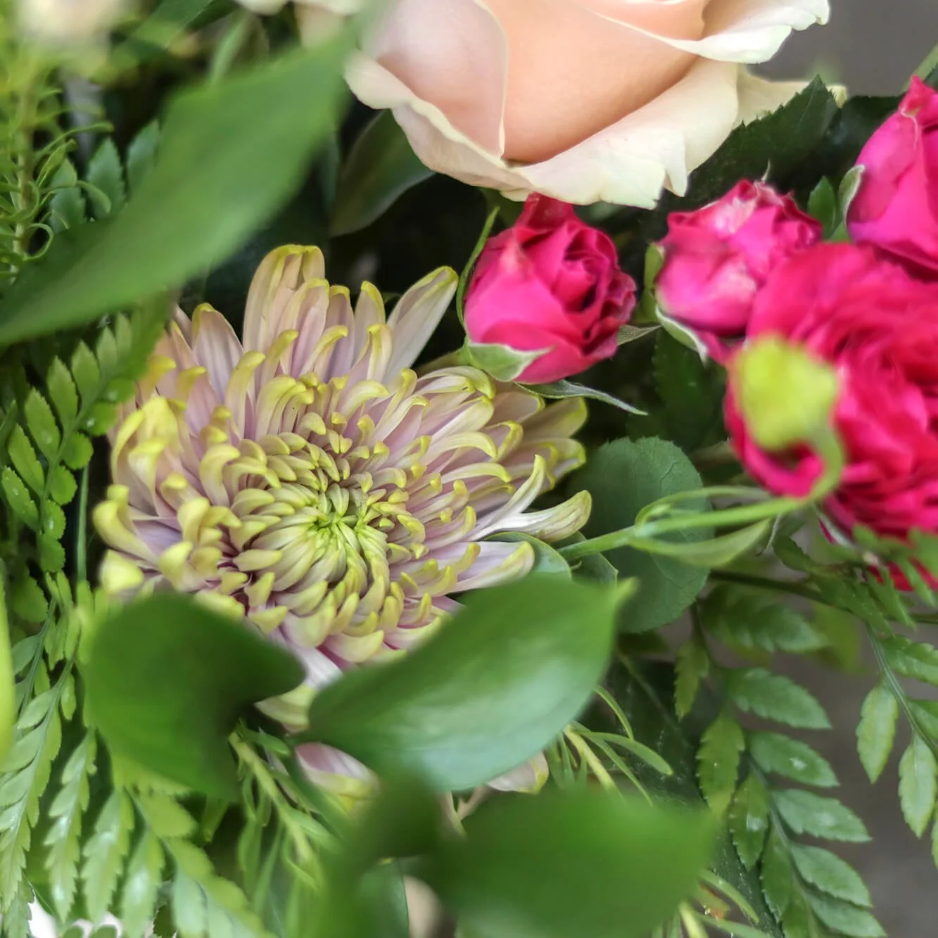 Bloom & Branch Summer Spritz